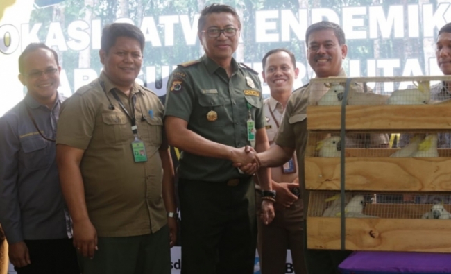 PT Freeport Indonesia Repatriated 15 Tropical Birds Back Into Rainforests of Papua